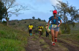 Trail Cardinal Jaune_2