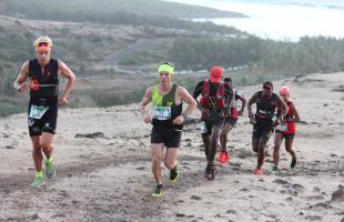 Trail Cardinal Jaune_3