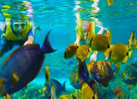 Snorkeling_